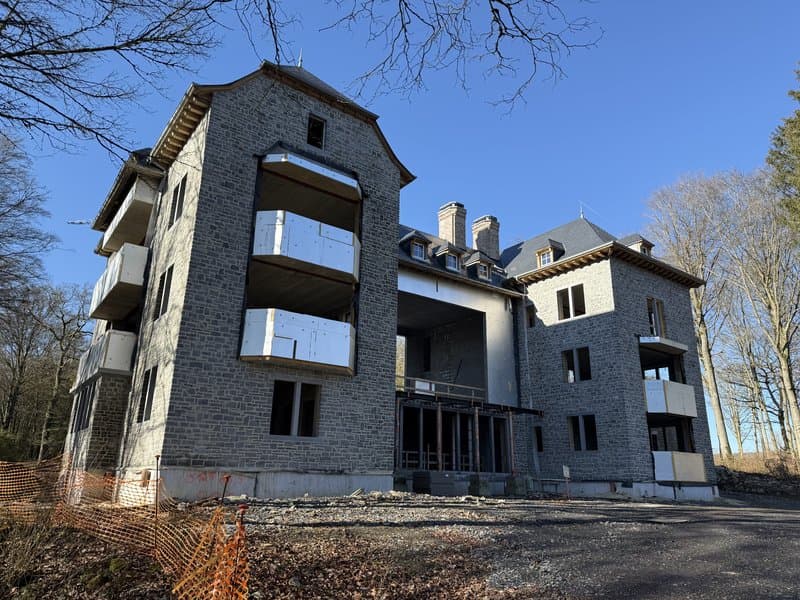 Façade pierre naturelle moellons — Comblain-au-Pont